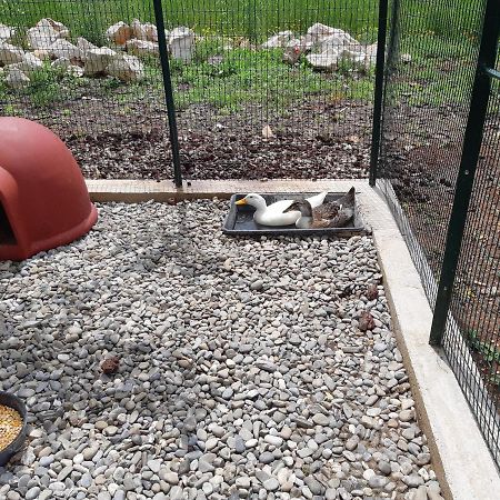 Trullo Della Rosa Βίλα Μαρτίνα Φράνκα Εξωτερικό φωτογραφία