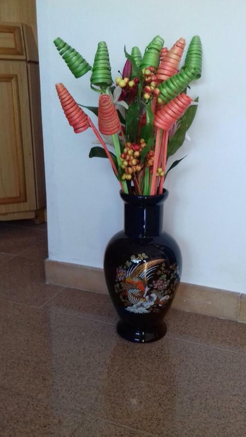 Trullo Della Rosa Βίλα Μαρτίνα Φράνκα Εξωτερικό φωτογραφία