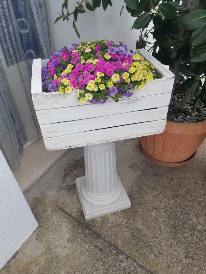 Trullo Della Rosa Βίλα Μαρτίνα Φράνκα Εξωτερικό φωτογραφία