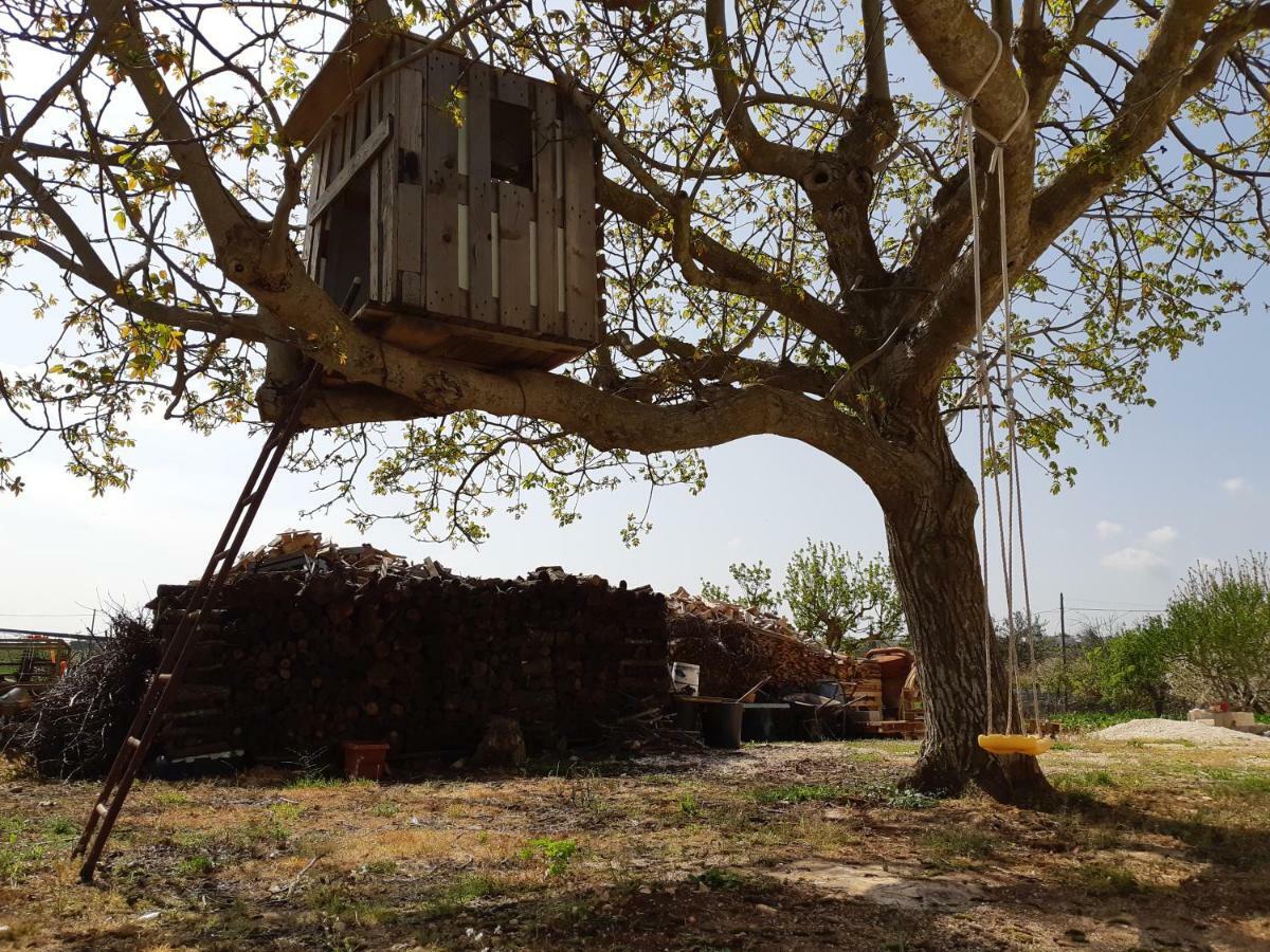 Trullo Della Rosa Βίλα Μαρτίνα Φράνκα Εξωτερικό φωτογραφία