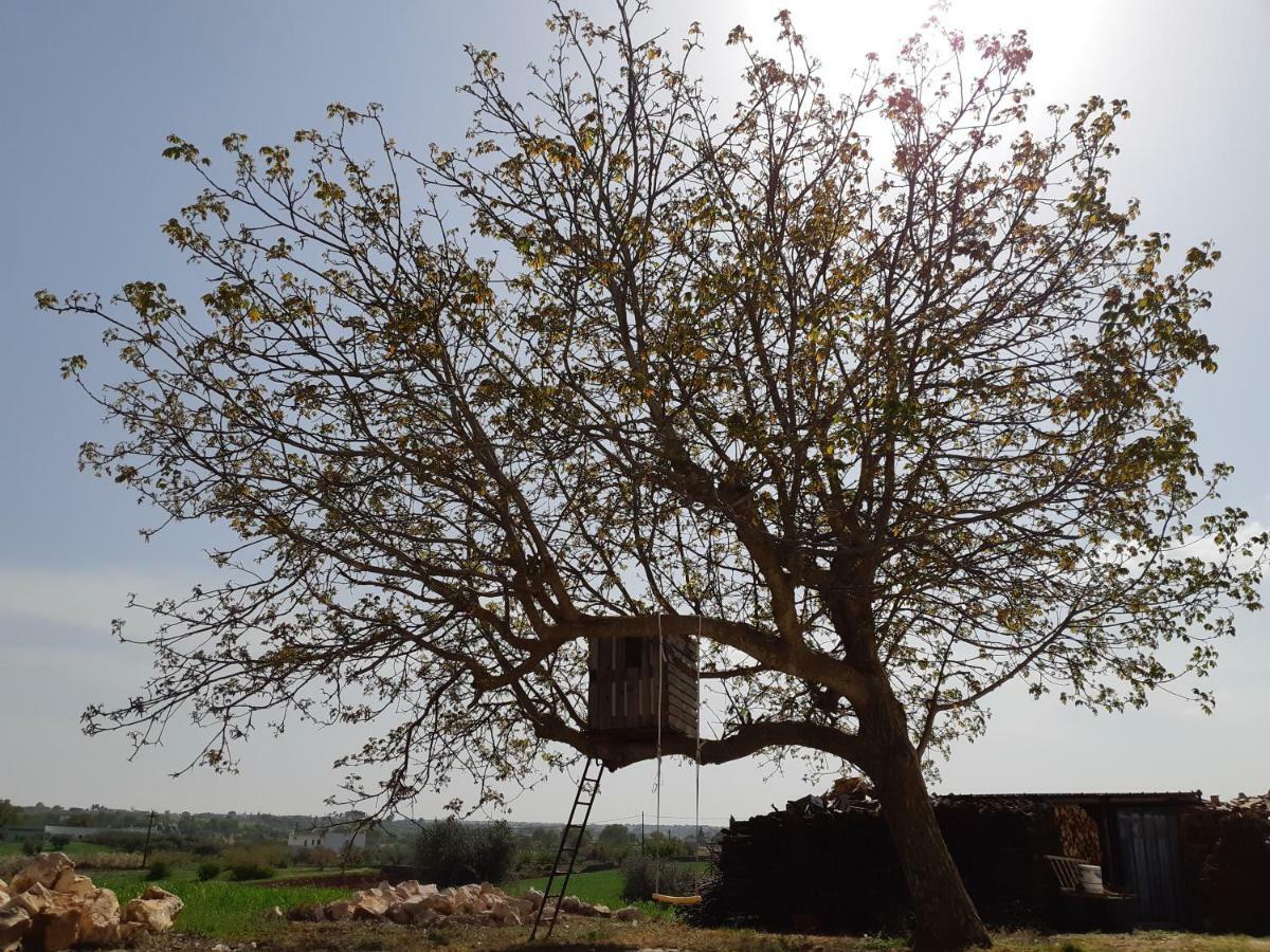 Trullo Della Rosa Βίλα Μαρτίνα Φράνκα Εξωτερικό φωτογραφία