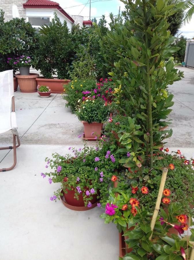 Trullo Della Rosa Βίλα Μαρτίνα Φράνκα Εξωτερικό φωτογραφία